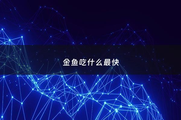 金鱼吃什么最快 - 金鱼吃什么最好
