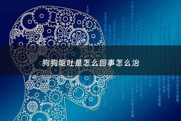 狗狗呕吐是怎么回事怎么治 - 狗狗呕吐是为什么?