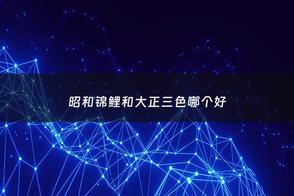 昭和锦鲤和大正三色哪个好 - 锦鲤鱼昭和和大正的区别是什么