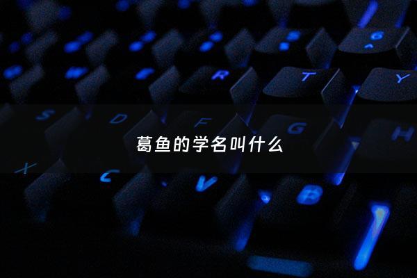 葛鱼的学名叫什么 - 葛鱼怎么吃有营养