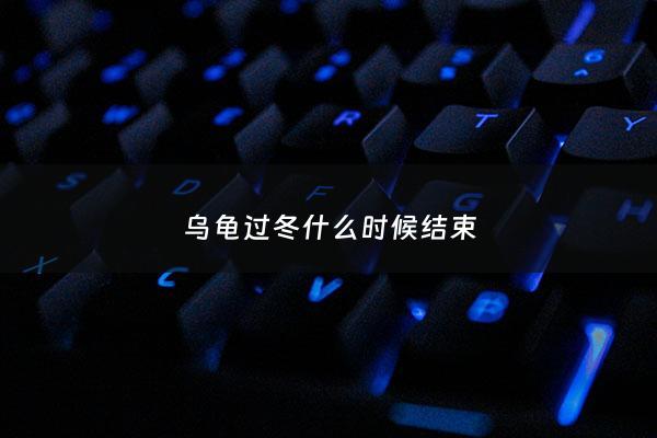 乌龟过冬什么时候结束 - 乌龟过冬什么时候结束吃食