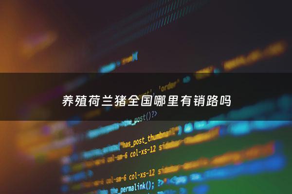 养殖荷兰猪***哪里有销路吗 - 卖荷兰猪的地方