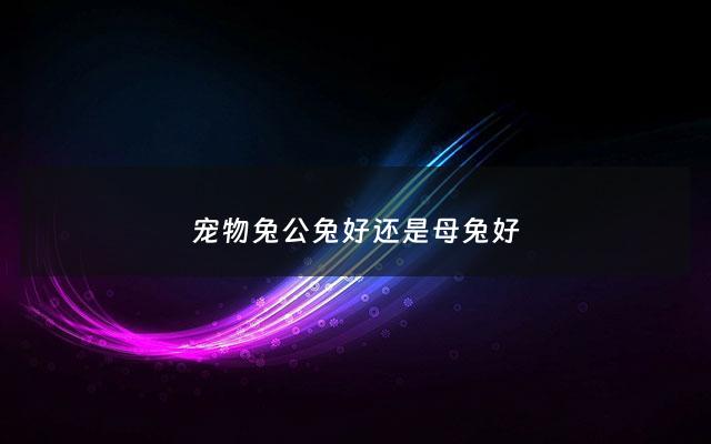 宠物兔公兔好还是母兔好 - 宠物兔公母用分开养吗