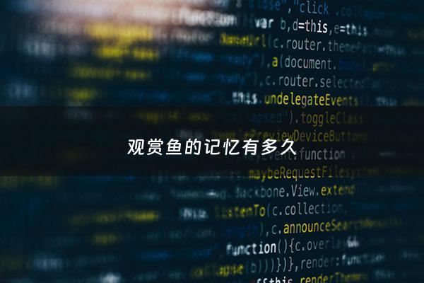 观赏鱼的记忆有多久 - 观赏鱼有记忆吗