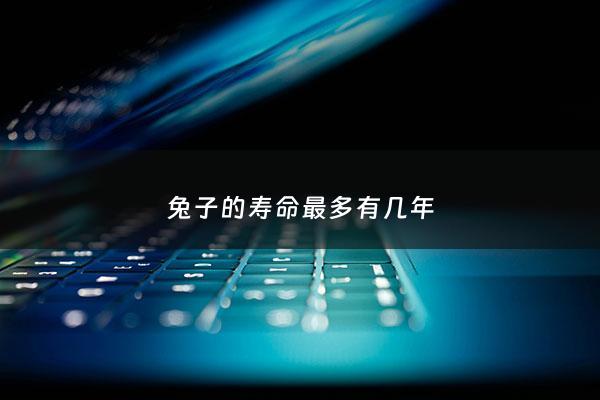 兔子的寿命最多有几年 - 兔子的寿命最长是几年