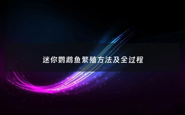 迷你鹦鹉鱼繁殖***及全过程 - 迷你鹦鹉鱼繁殖技巧