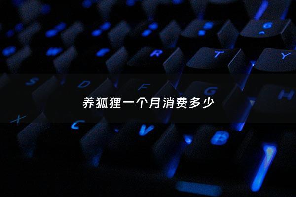 养狐狸一个月消费多少 - 养狐狸开销大吗