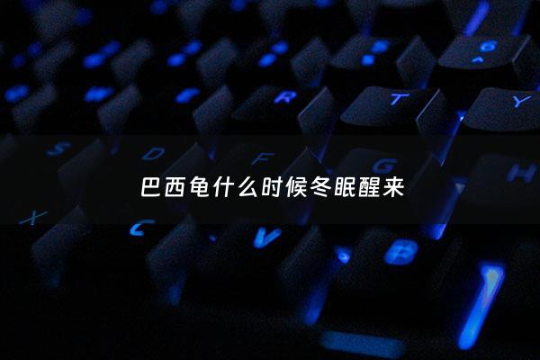 巴西龟什么时候冬眠醒来 - 巴西龟什么时候开始冬眠冬天怎么养