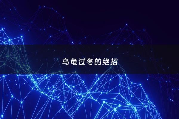 乌龟过冬的绝招 - 乌龟过冬怎么样处理