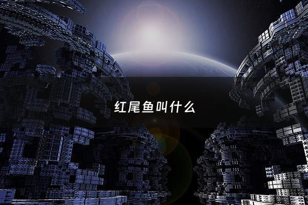 红尾鱼叫什么 - 红尾鱼学名