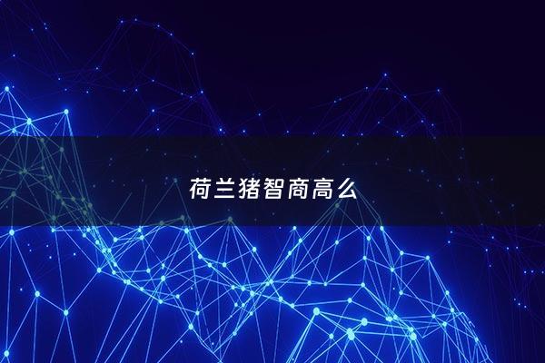 荷兰猪智商高么 - 荷兰猪傻不傻