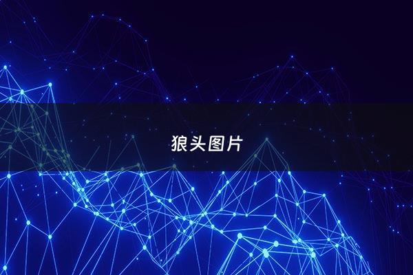 狼头图片 - 狼头图片100张