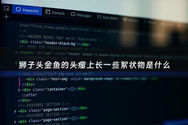 狮子头金鱼的头瘤上长一些絮状物是什么 - 狮子头金鱼头上有白色絮状物