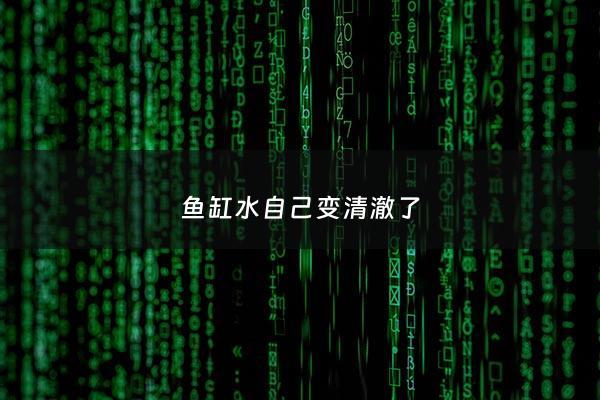 鱼缸水自己变清澈了 - 鱼缸水越来越清