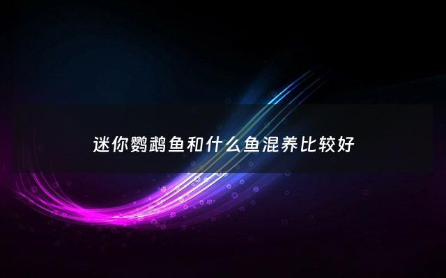 迷你鹦鹉鱼和什么鱼混养比较好 - 迷你鹦鹉鱼跟什么鱼混养好