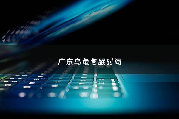 广东乌龟冬眠时间 - 广东 乌龟冬眠