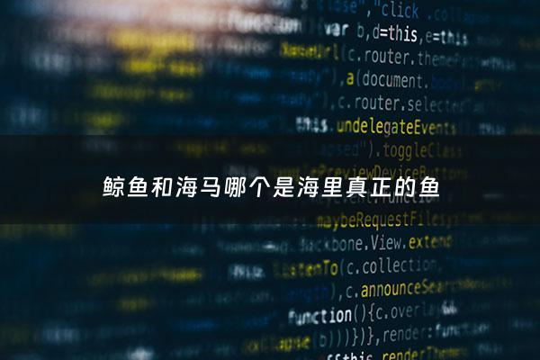 鲸鱼和海马哪个是海里真正的鱼 - 鲸鱼和海马哪个是海里真正的鱼类