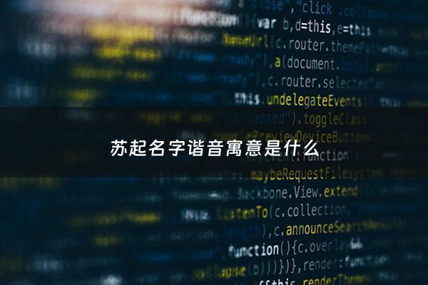 苏起名字谐音寓意是什么 - 苏起名字谐音寓意是什么意思