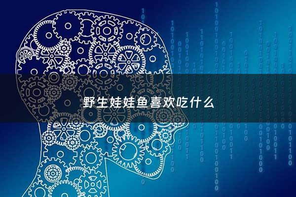 野生娃娃鱼喜欢吃什么 - 野生娃娃鱼吃了对身体有什么好处