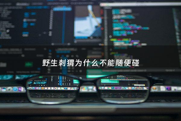 野生刺猬为什么不能随便碰 - 野生刺猬为什么不能用手碰