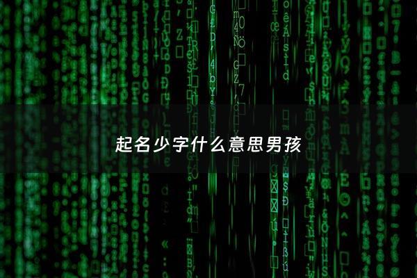起名少字什么意思男孩 - 少字取名的意思和含义
