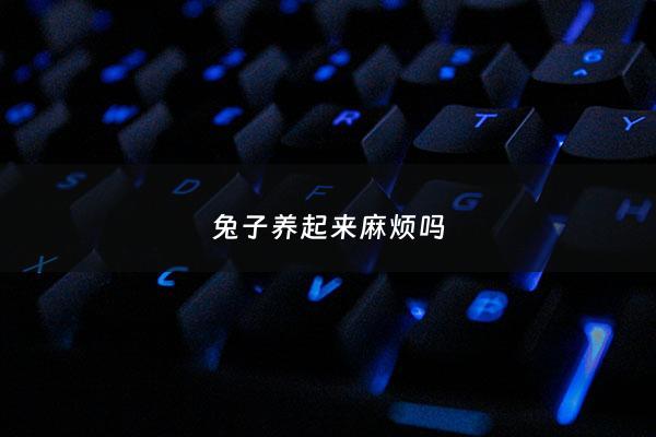兔子养起来麻烦吗 - 养兔子麻烦么