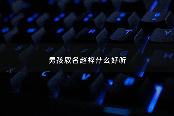 男孩取名赵梓什么好听 - 男孩名字赵梓什么好