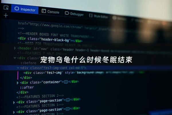 宠物乌龟什么时候冬眠结束 - 宠物龟几月结束冬眠