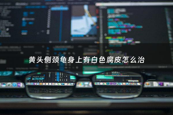黄头侧颈龟身上有白色腐皮怎么治 - 黄头侧颈龟腐皮可以干养几天