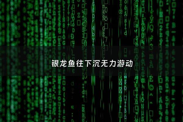 银龙鱼往下沉无力游动 - 银龙鱼沉底不动怎么补救