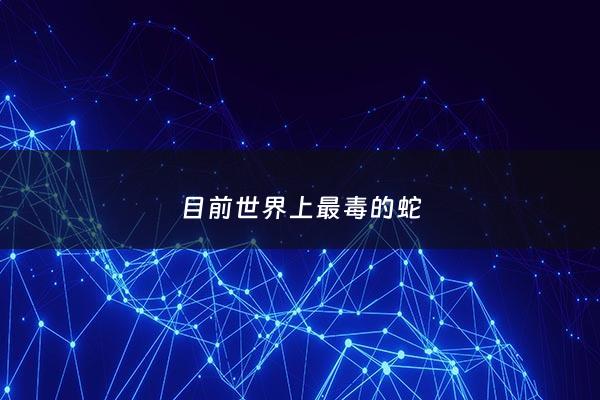 目前世界上最毒的蛇 - 全世界上最毒的蛇