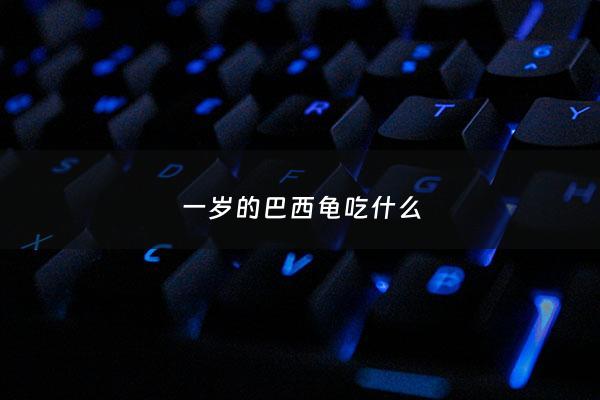 一岁的巴西龟吃什么 - 1岁的巴西龟多少厘米