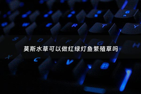 莫斯水草可以做红绿灯鱼繁殖草吗 - 莫斯水草用led灯行吗
