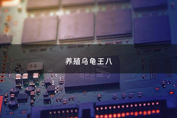 养殖乌龟王八 - 养殖王八一年赚***