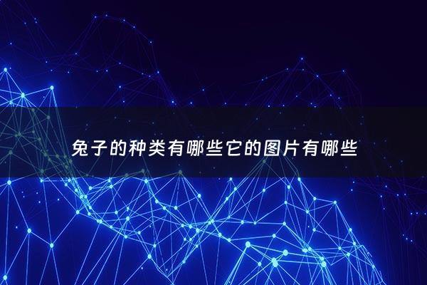 兔子的种类有哪些它的图片有哪些 - 兔子的种类图片及名称
