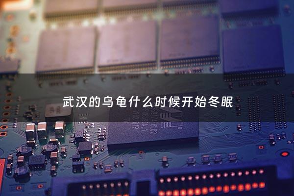 ***的乌龟什么时候开始冬眠 - 湖北***乌龟什么时候出眠