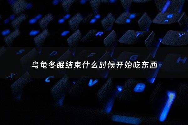 乌龟冬眠结束什么时候开始吃东西 - 乌龟冬眠什么时候开始吃食