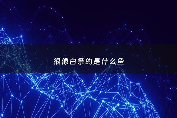 很像白条的是什么鱼 - 像白条比白条大的叫什么鱼