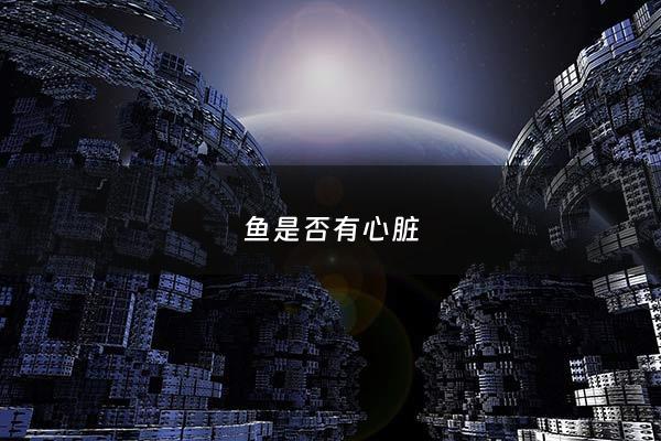 鱼是否有心脏 - 鱼也有心脏吗