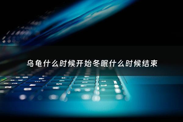 乌龟什么时候开始冬眠什么时候结束 - 乌龟大概什么时候冬眠开始