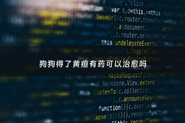 狗狗得了黄疸有药可以治愈吗 - 狗狗黄疸治疗