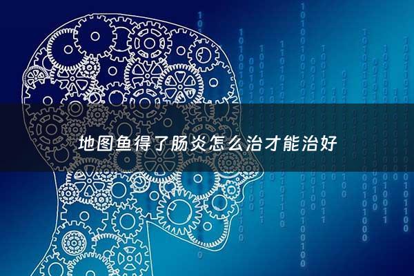 地图鱼得了肠炎怎么治才能治好 - 地图鱼易得什么病