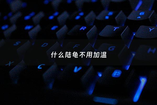 什么陆龟不用加温 - 什么龟不需要加温