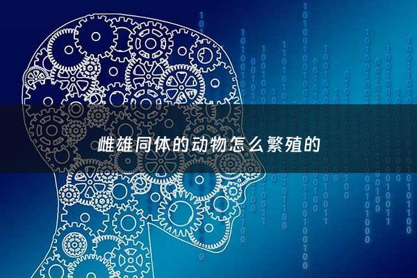 雌雄同体的动物怎么繁殖的 - 雌雄同体的动物能自己生育吗