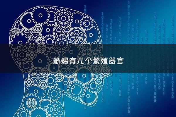 蜥蜴有几个繁殖器官 - 蜥蜴的繁殖行为包括哪些