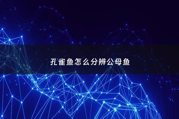 孔雀鱼怎么分辨公母鱼 - 孔雀鱼如何分辨公母