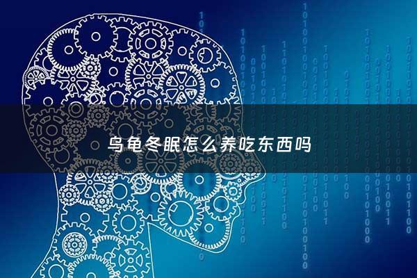 乌龟冬眠怎么养吃东西吗 - 乌龟冬眠 喂食