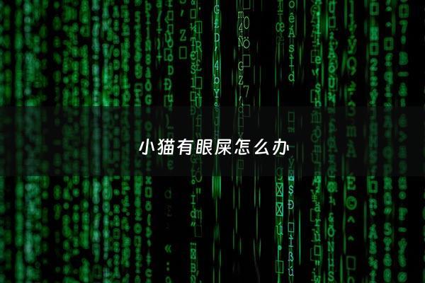 小猫有眼屎怎么办 - 小猫有眼屎怎么办吃什么药
