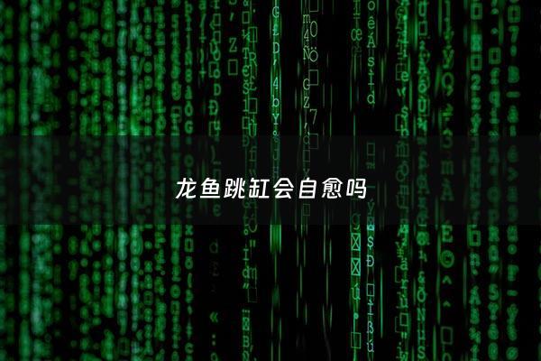 龙鱼跳缸会自愈吗 - 龙鱼跳缸意味着什么意思