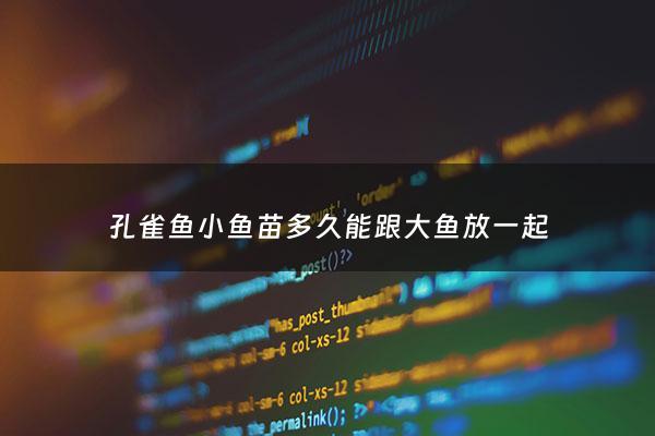 孔雀鱼小鱼苗多久能跟大鱼放一起 - 孔雀鱼小鱼苗几天可以跟大鱼放一起养